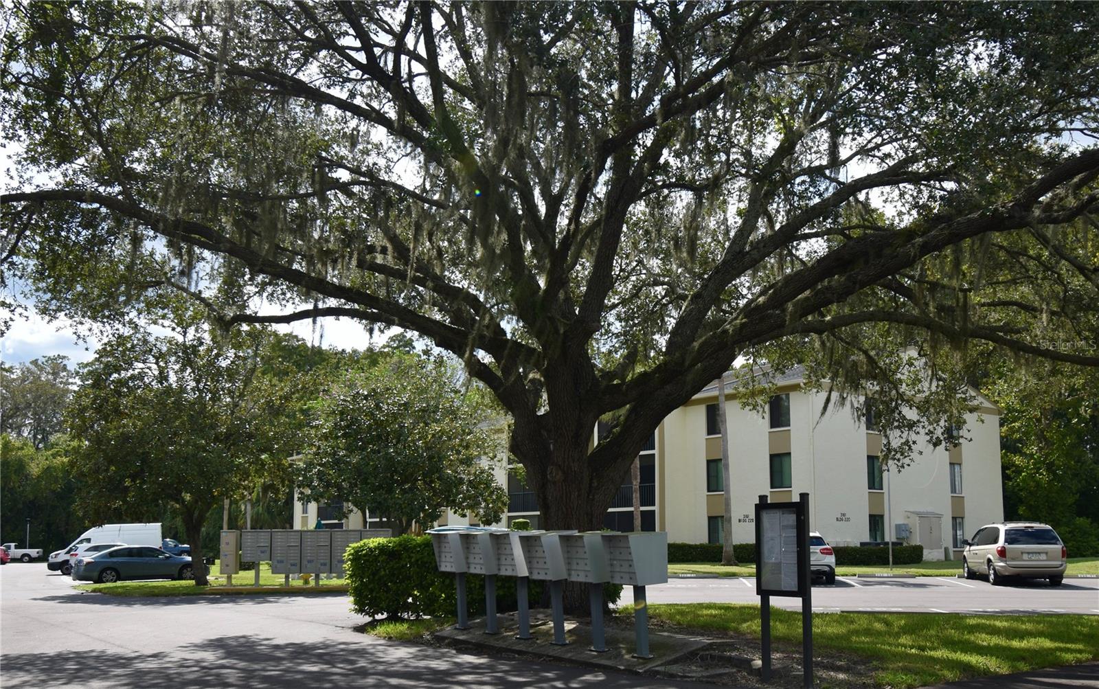 PINE RIDGE AT LAKE TARPON VILLAGE - Residential