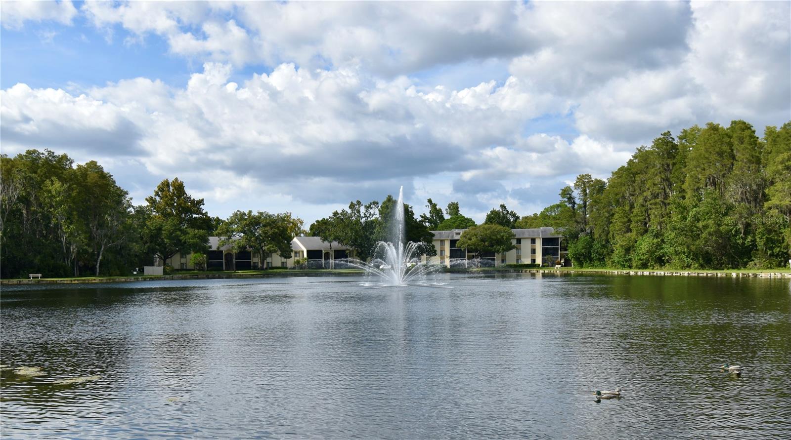 PINE RIDGE AT LAKE TARPON VILLAGE - Residential