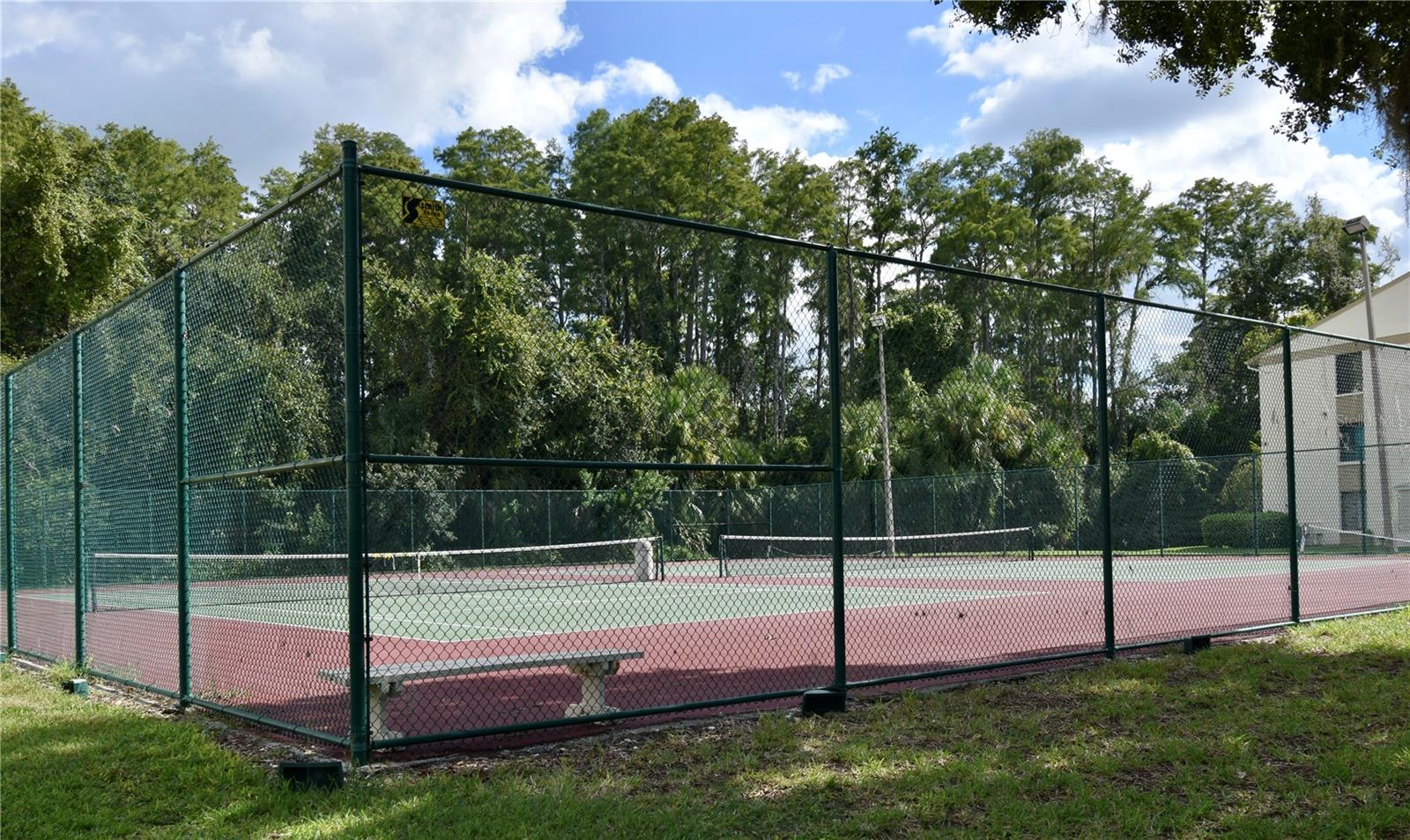 PINE RIDGE AT LAKE TARPON VILLAGE - Residential
