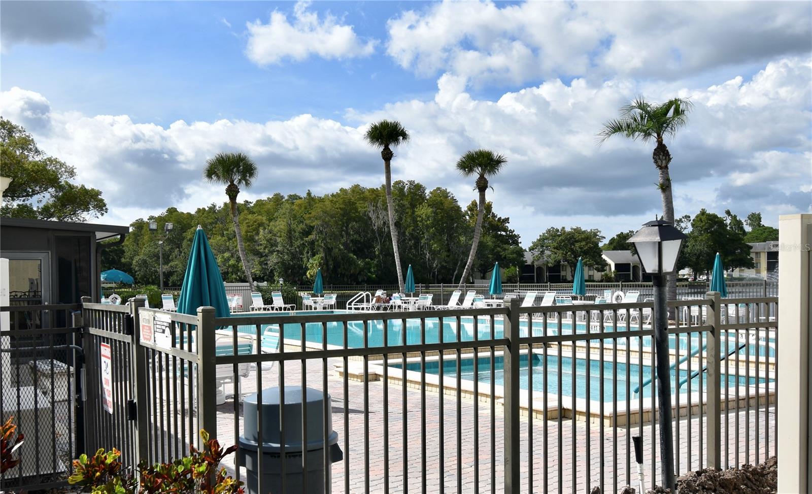 PINE RIDGE AT LAKE TARPON VILLAGE - Residential