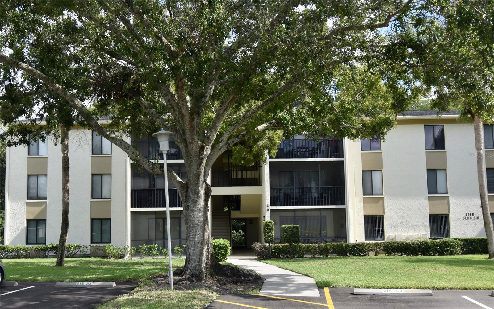 PINE RIDGE AT LAKE TARPON VILLAGE - Residential