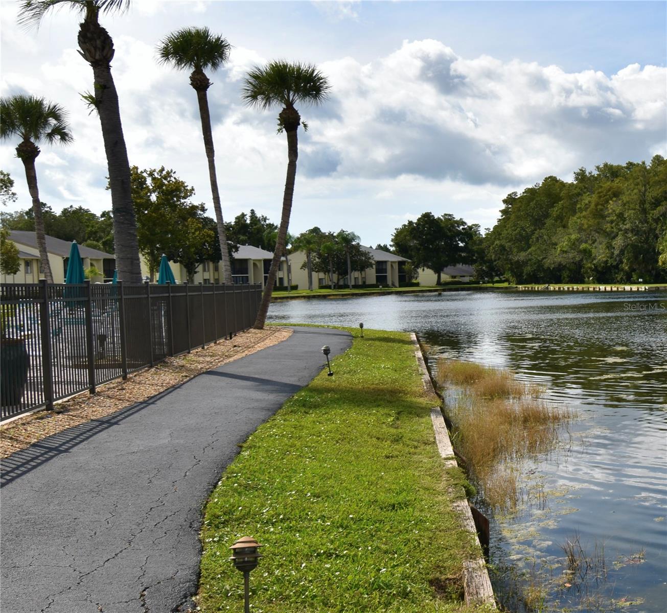 PINE RIDGE AT LAKE TARPON VILLAGE - Residential