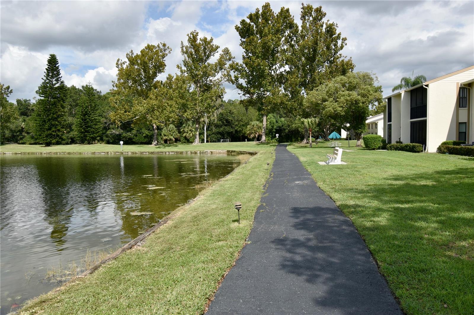 PINE RIDGE AT LAKE TARPON VILLAGE - Residential