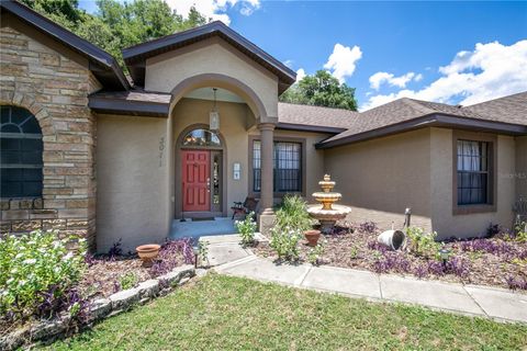 A home in EUSTIS