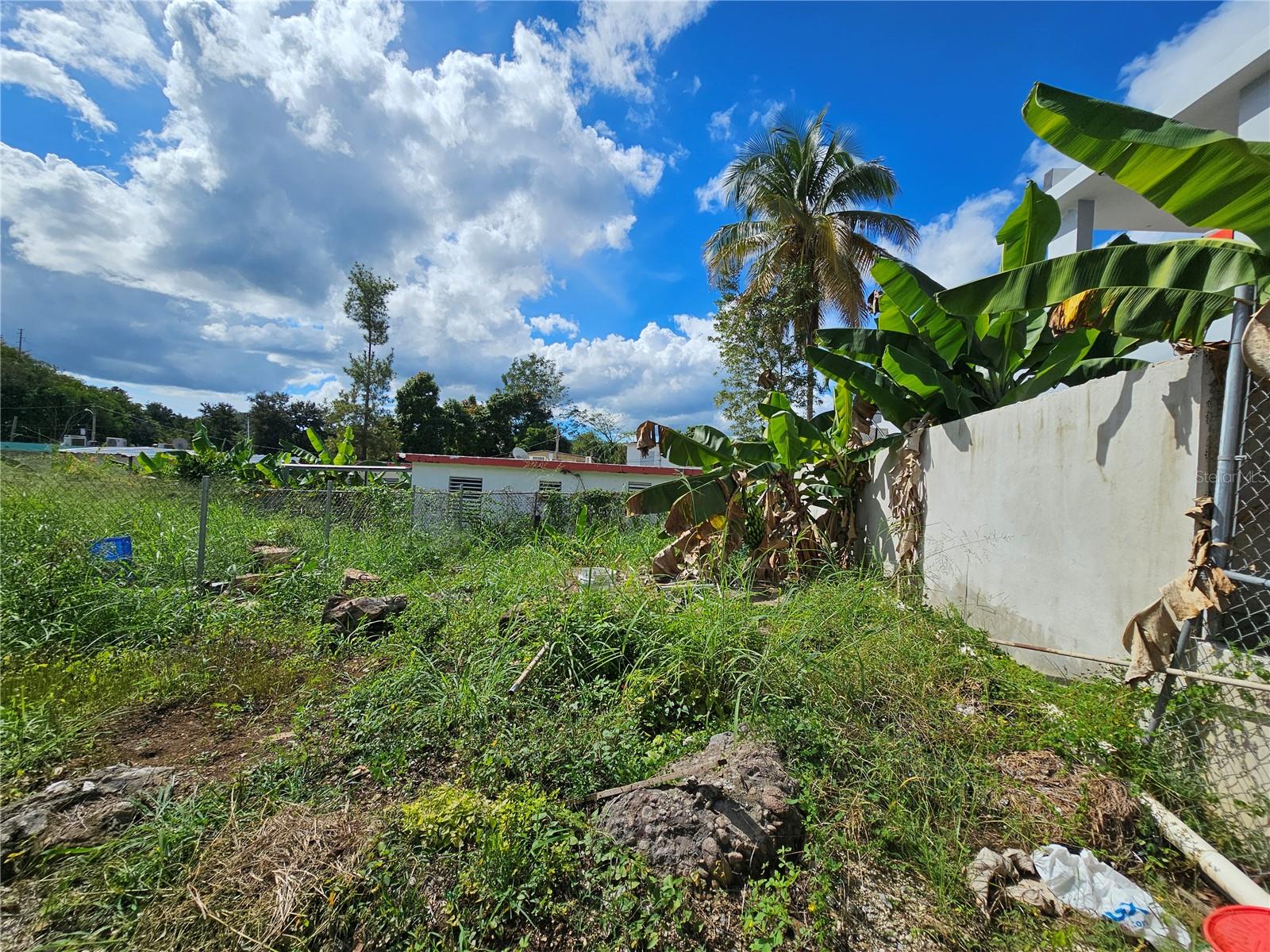 Calle 5 CALLE BORINQUEN