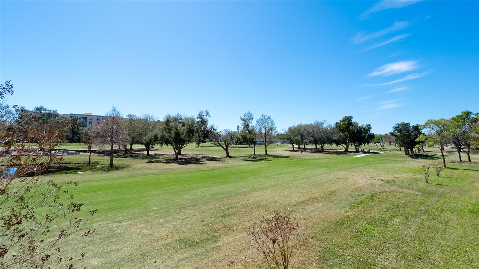 THE FAIRWAYS AT PINEBROOK PH II - Residential