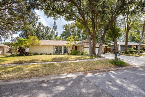 Casas a venda 169 - Jen Dantas 1204 BEACON HILL DRIVE TAMPA FL 33613
