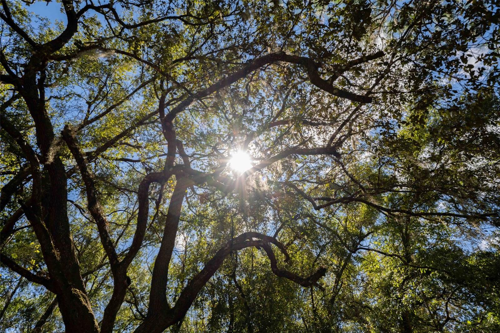 STEAM BOAT SPGS UNREC SUB - Land