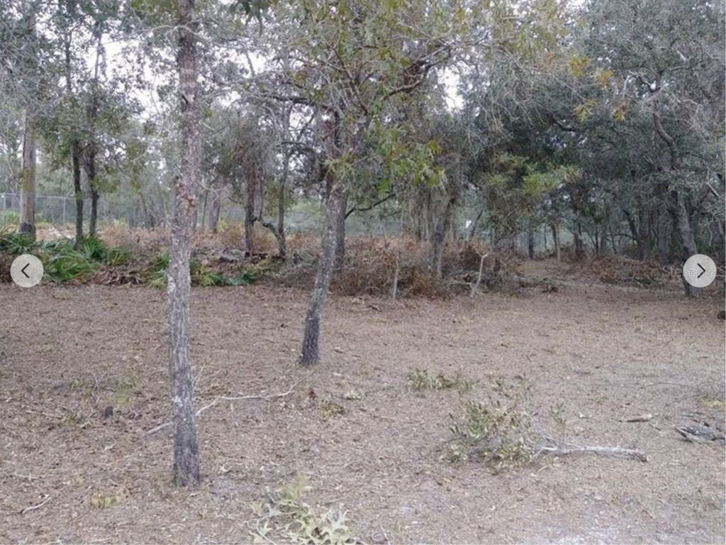 Photo of 9468 Marengo Street, Weeki Wachee, FL 34613 (MLS # TB8410006)