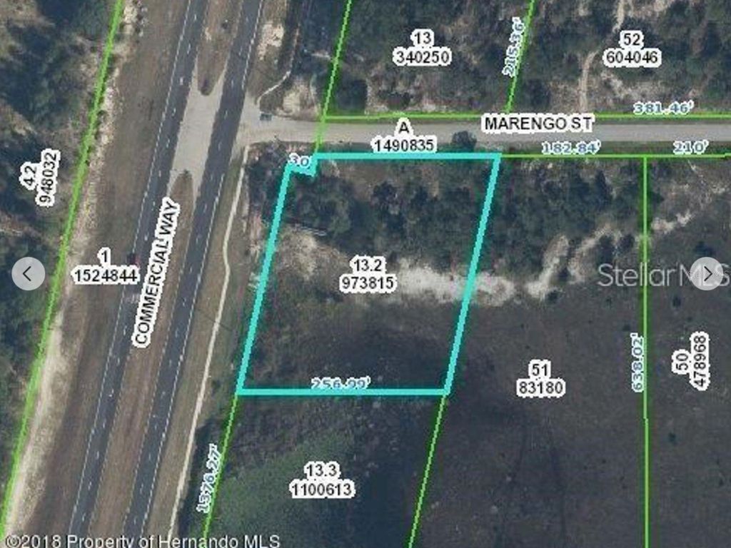 Photo of 9468 Marengo Street, Weeki Wachee, FL 34613 (MLS # TB8410006)