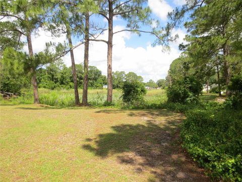 A home in OCKLAWAHA