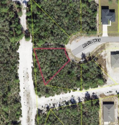1250 ALAFIA WAY, KISSIMMEE, FL 34759 - Image 2d7e68812b357bc5cabdc54decba4721/481160331