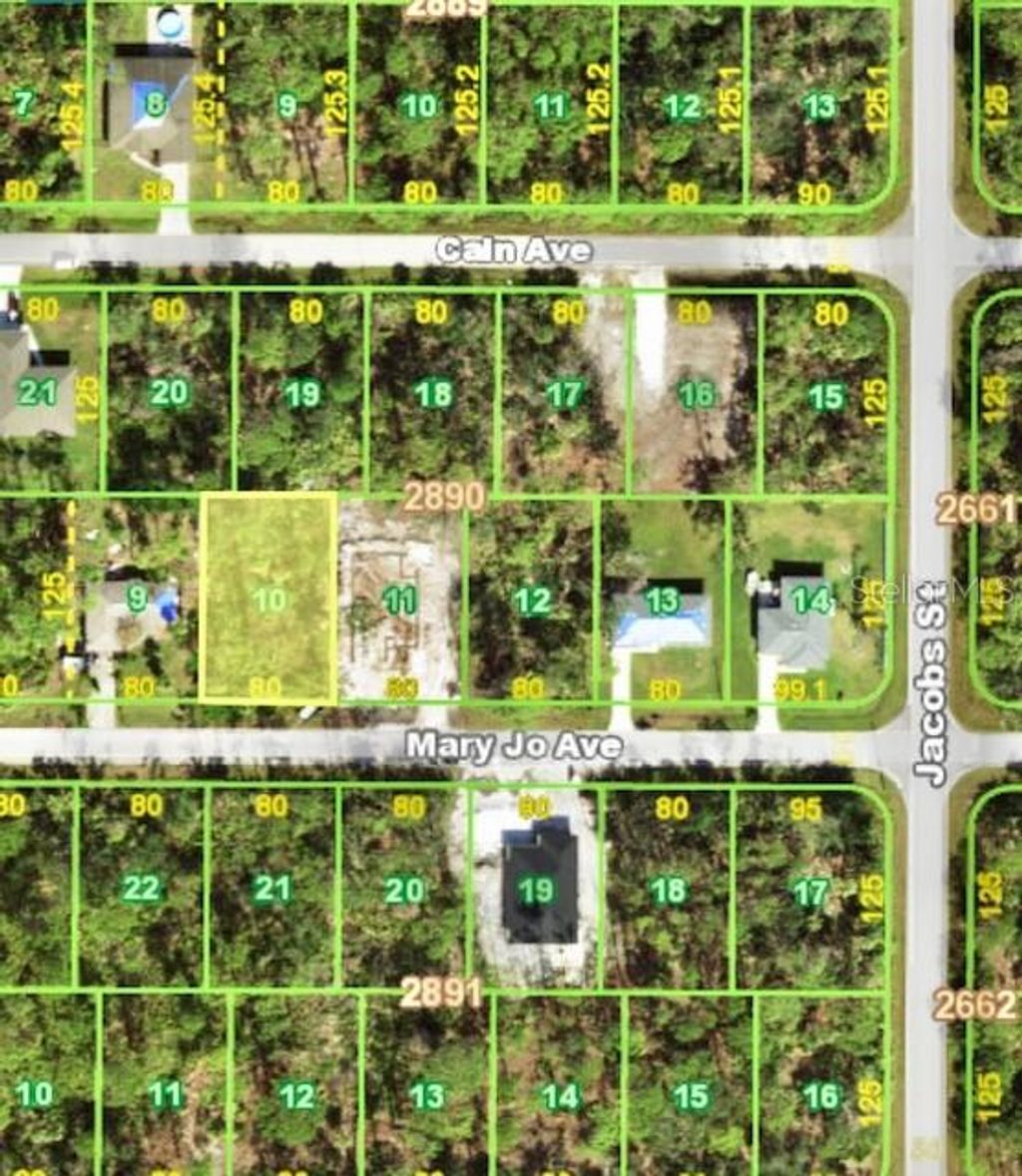 Photo of 13474 Mary Jo Avenue, Port Charlotte, FL 33953 (MLS # A4659834)