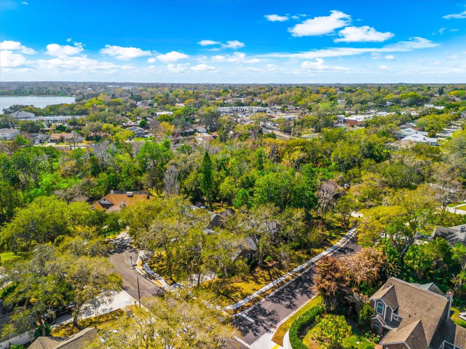 VILLAGE OF WOODLAND HILLS UNIT 1A - Residential