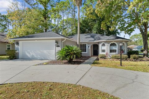 Photo of 85 Bird Of Paradise Drive, Palm Coast, FL 32137 (MLS # FC314362)