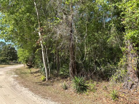 AIRPORT ROAD ASTOR FL 32102