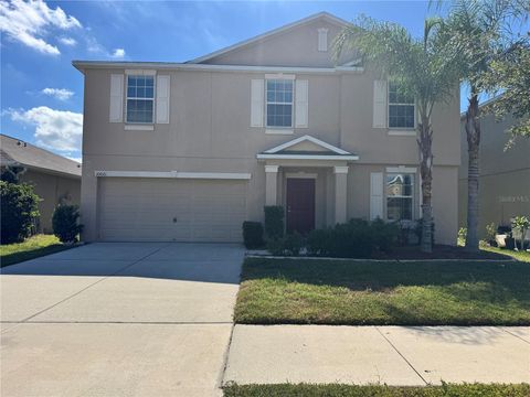 10021 CRESTED FRINGE DRIVE RIVERVIEW FL 33578