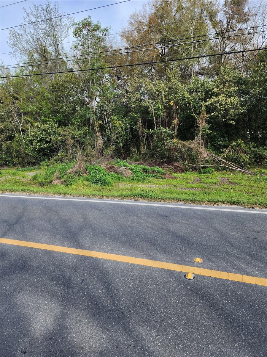 Located in Belleview Heights Estates, this quarter-acre of vacant land presents multiple possibilities for those envisioning their dream home or investment venture. The property, mostly cleared, invites creativity and seamless development, while its strategic placement near an electric pole ensures accessibility to essential utilities. Picture your ideal residence blending with the peace and quiet of this well-established neighborhood. Offering a perfect balance of seclusion and convenience, this prime piece of land not only reduces groundwork costs with its cleared terrain but also promises a streamlined process for utility connections.
Seize the opportunity to craft your vision in this sought-after locale. Contact us today to explore the potential of this unique property
Listing agent is a Florida State licensed Realtor