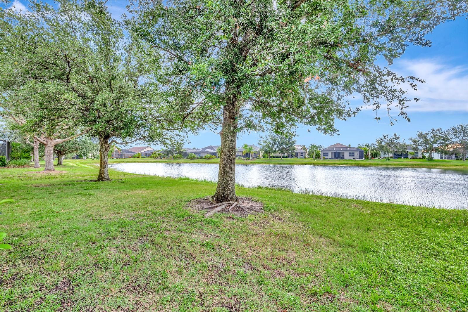 CENTRAL PARK PH B-1 - Residential