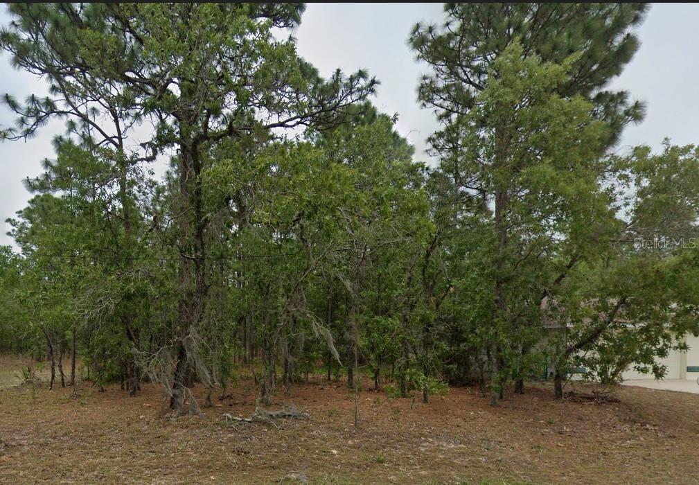 CITRUS SPGS UNIT 08 - Land