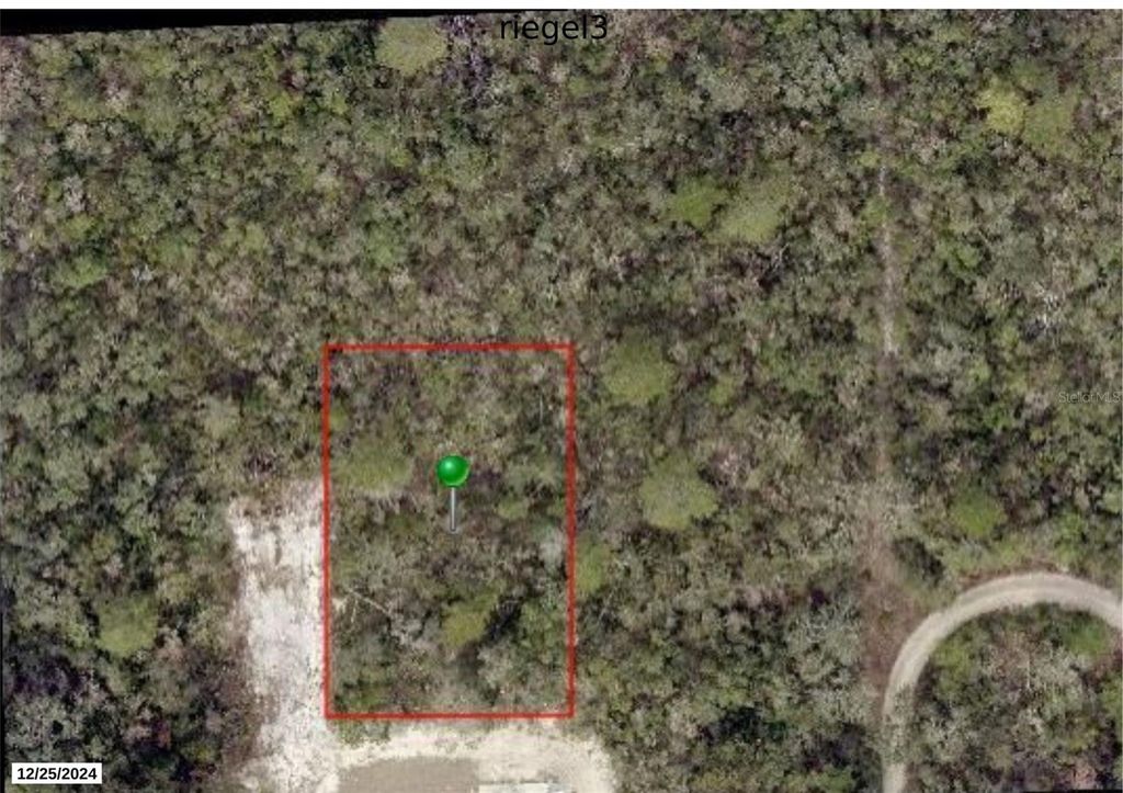 Photo of Riegel (paper) Avenue, Orange City, FL 32763 (MLS # V4947156)