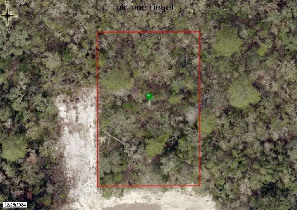 Photo of Riegel (paper) Avenue, Orange City, FL 32763 (MLS # V4947156)