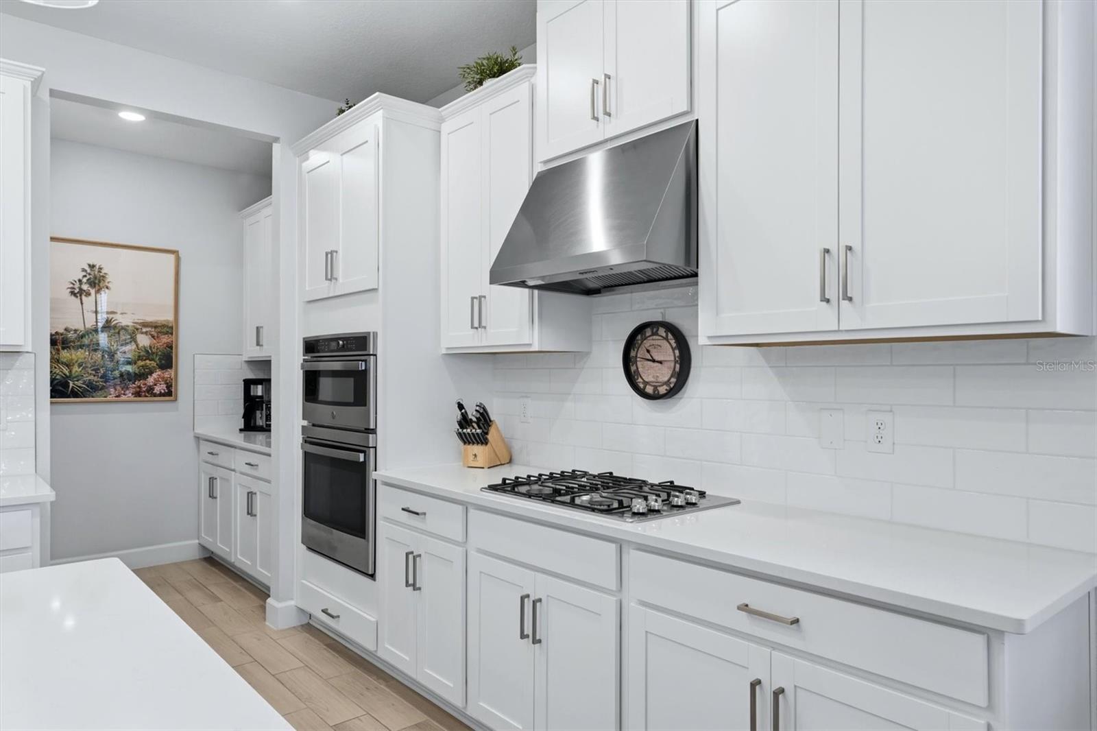 CASSIA AT SKYE RANCH - Residential