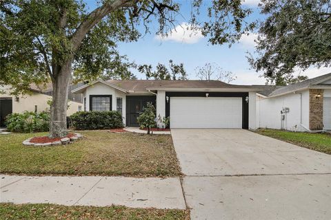 11005 KENBROOK DRIVE RIVERVIEW FL 33578