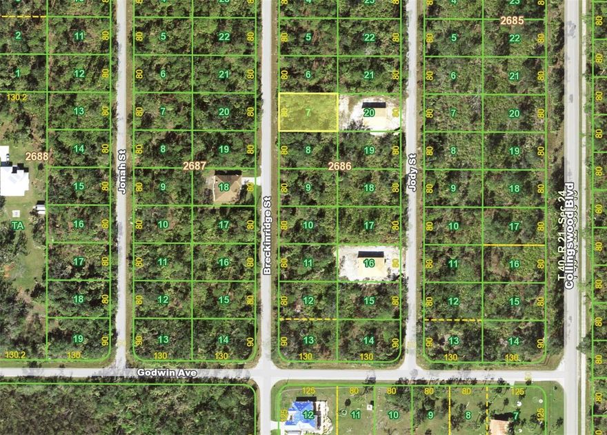 Building lot in Port Charlotte. 80x125. Close to shopping and amenities. Just over 2 miles from Murdock Center with stores, restaurants and local services. Close to Sam's Club. Local beaches are within 30 minute drive. Area with new construction and a lot of potential. Take this opportunity while the prices are low.