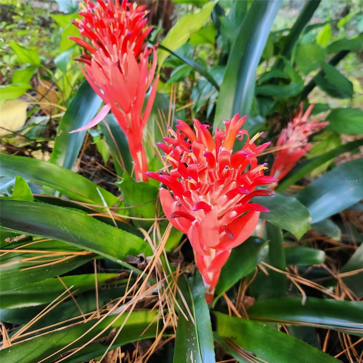 GOLF CLUB MANOR - Residential