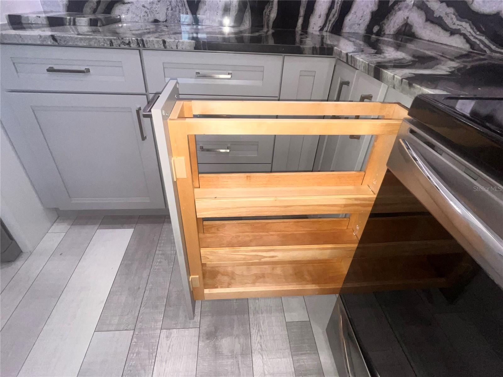 WATERSIDE AT COQUINA KEY SOUTH - Residential