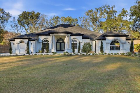 Photo of 28233 Sonny Drive, Wesley Chapel, FL 33544 (MLS # TB8465749)