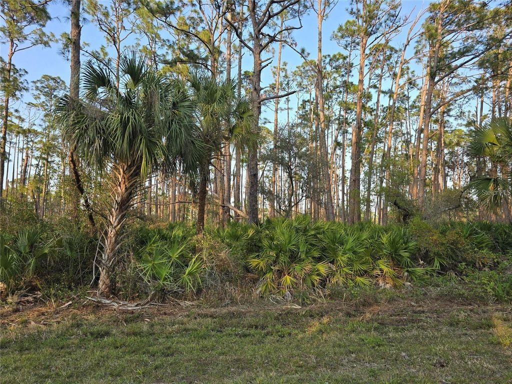 Photo of 12522 Ranch Avenue, Port Charlotte, FL 33953 (MLS # O6424860)