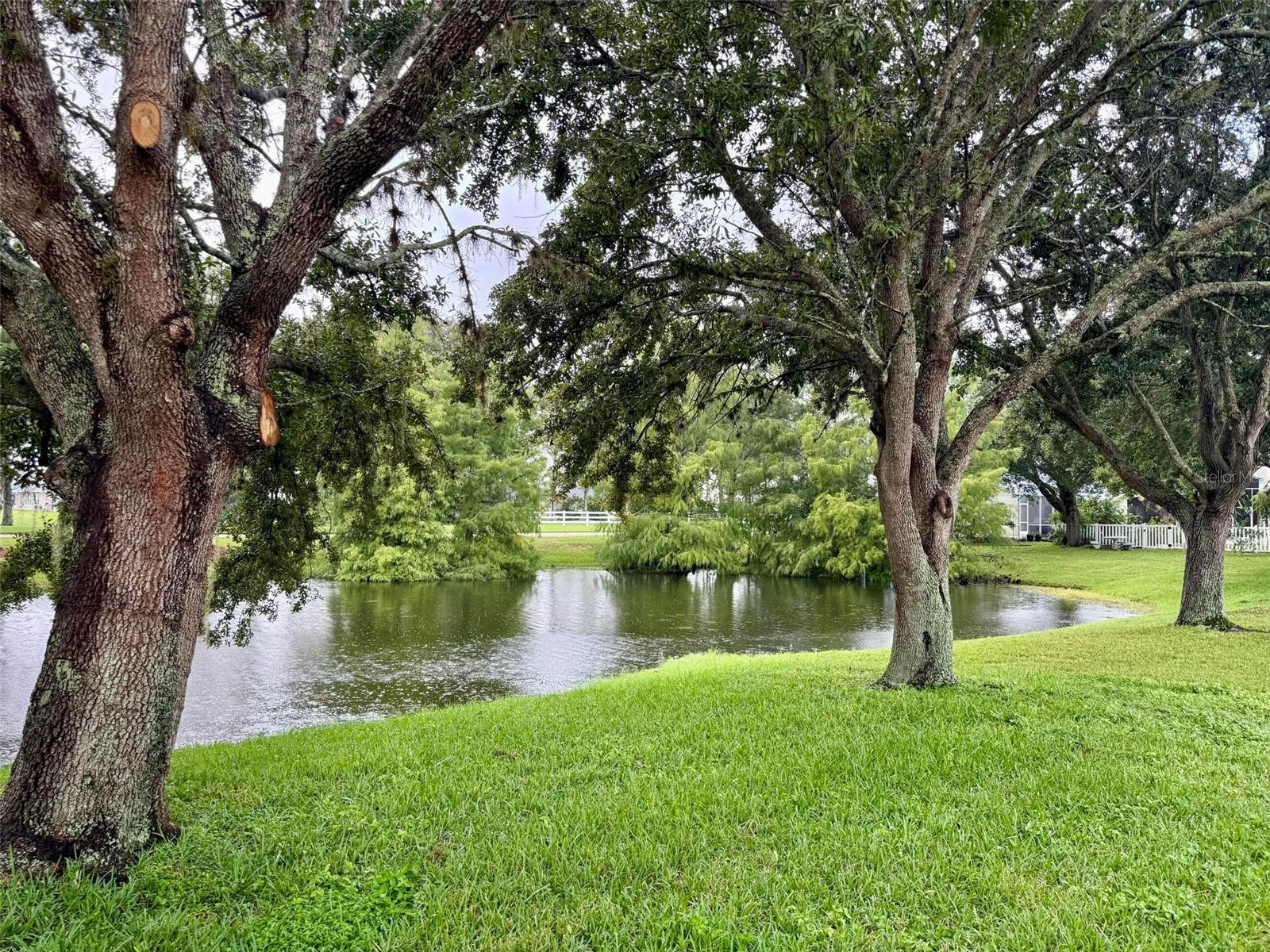 WATERS EDGE PH 03 - Residential