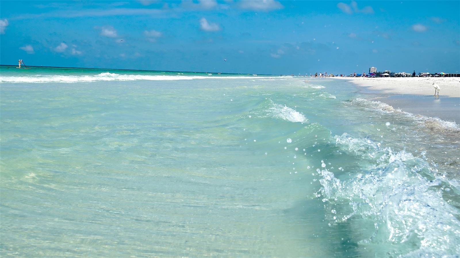 SARASOTA SURF & RACQUET - Residential