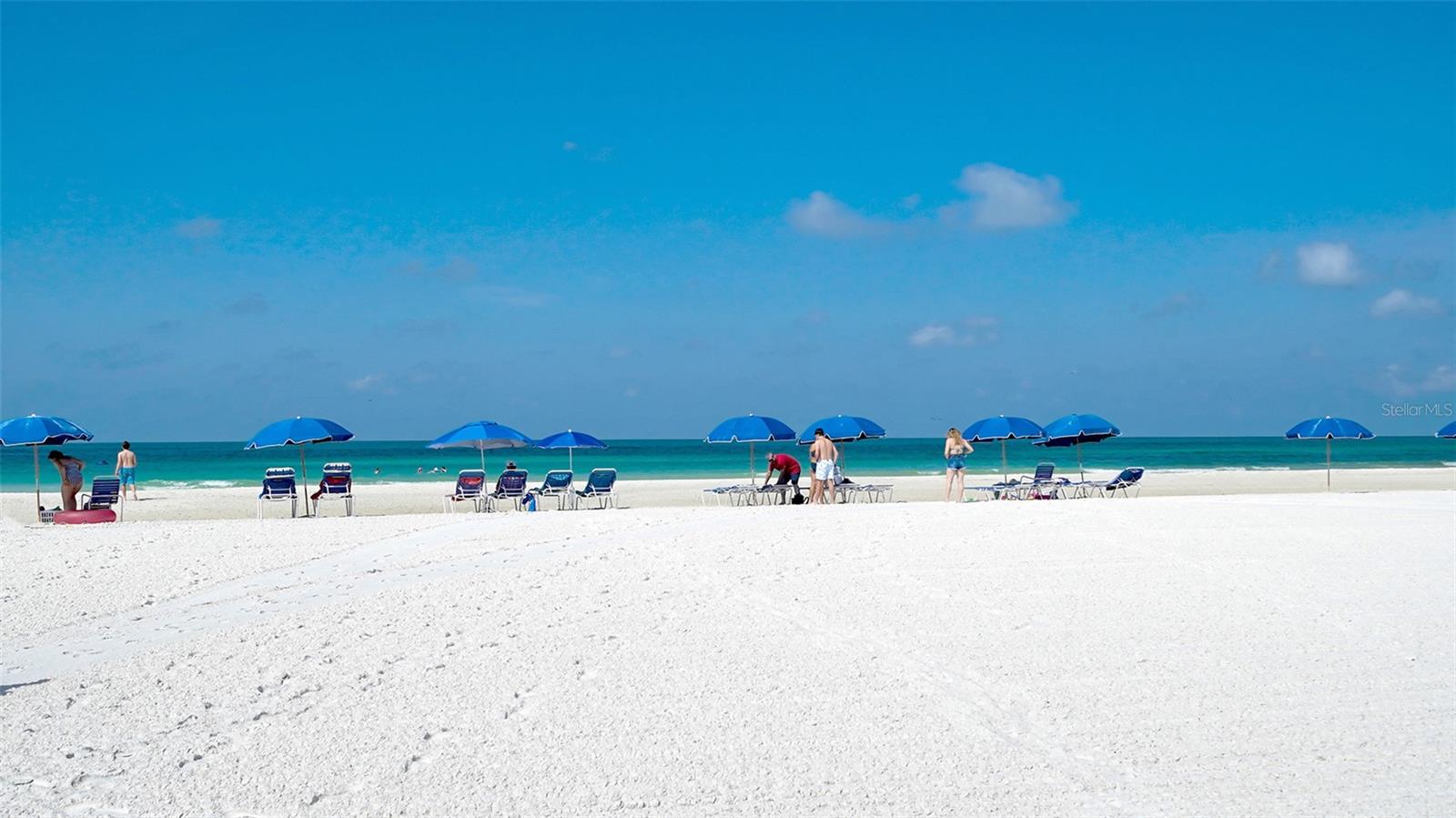 SARASOTA SURF & RACQUET - Residential