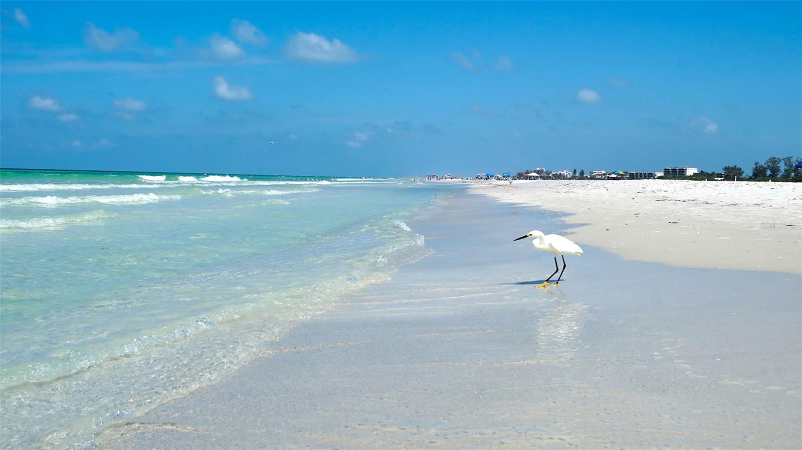 SARASOTA SURF & RACQUET - Residential