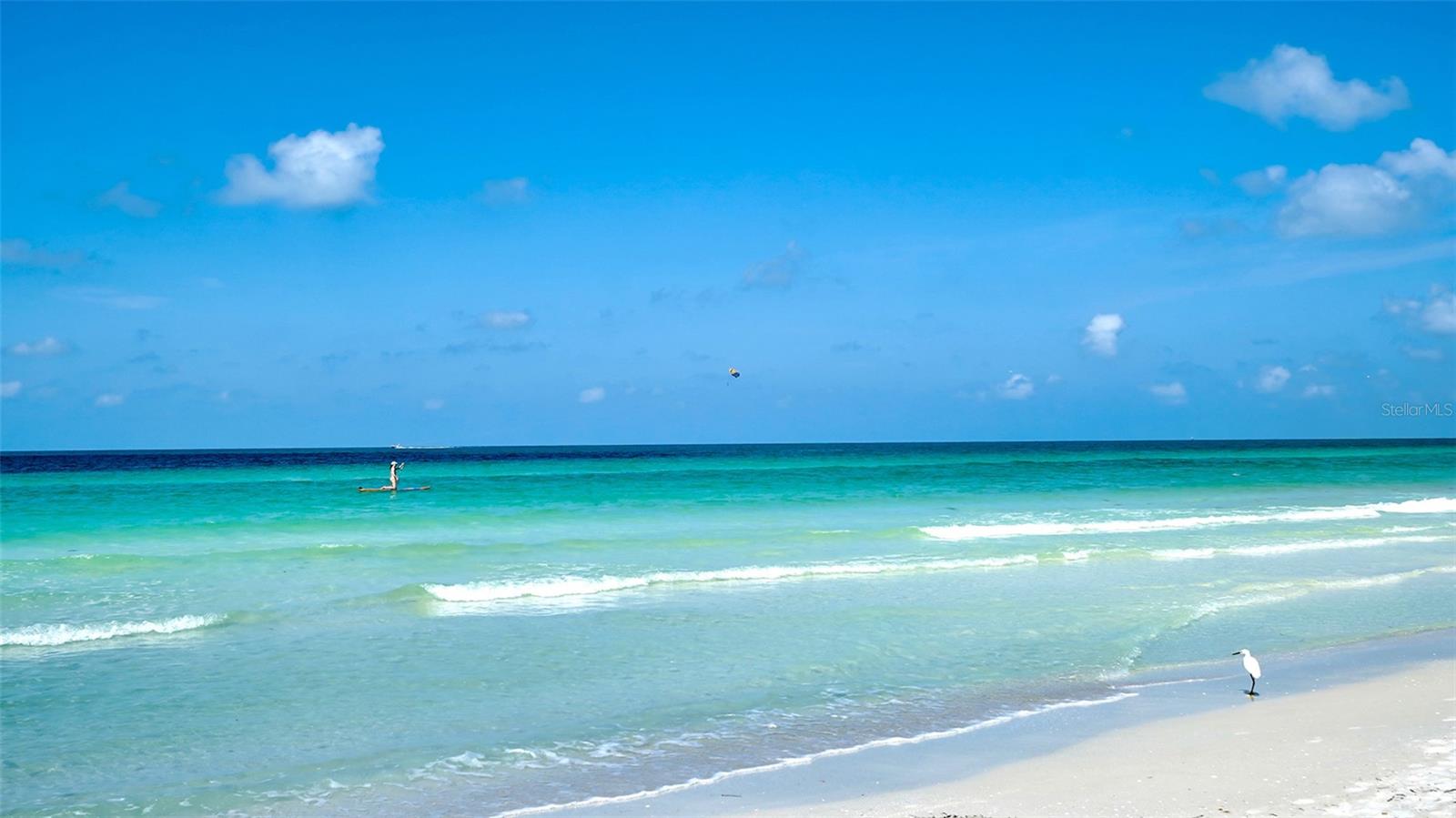 SARASOTA SURF & RACQUET - Residential