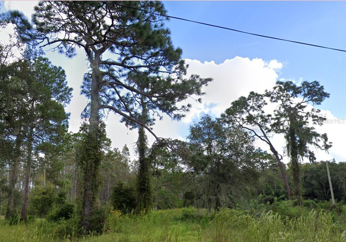 HUGE 1.78 ACRES in Moon Lake Estates!! 310 Ft x 250 Ft!! Located in Growing Area of Pasco County, 3 miles West of Suncoast Parkway, South of State Road 52 off Moon Lake Road. Peaceful and Serene Setting with Florida Country Charm!! Close to Shopping, Schools and Amenities Nearby in New Port Richey!! NO HOA means Complete Freedom! Lots this Size can be Used an Oversized Homesite or A Good Contender for a Lot Split!! Come Create Your Dream Homesite or Make a Savvy Investment into Florida’s Booming Land Market!! Zoned AR This Property offers a Variety of Housing Options, including Single-Family Homes, Mobile Homes, Manufactured or Modular Homes, and Tiny Homes, as Long as They Comply with Florida Building Codes. The Size and Zoning of this Tract of Land Opens the Door to Endless Possibilities, Whether You’re Looking for a Spacious Family Home or a Cozy Getaway. Nature Lovers will Appreciate the Proximity to Moon Lake Park and the Boat Launch, Where You Can Enjoy Fishing, Boating, and Scenic Walks. Tampa is just under an hour away, Featuring World-Class Entertainment and Cultural Attractions. If You’re in Search for a Private, Peaceful Spot to Call Home, This Property in Moon Lake Estates is a Winner!!