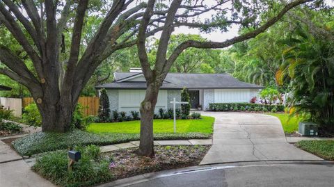 A home in TAMPA