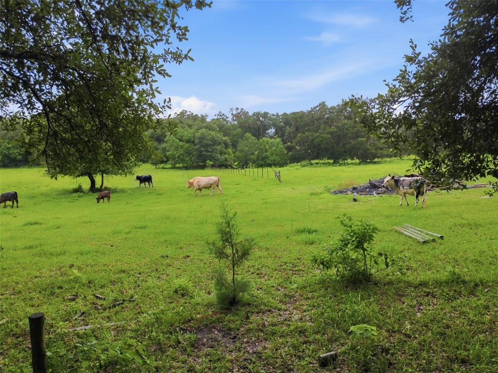 Photo of 9299 Weatherly Road, Brooksville, FL 34601 (MLS # TB8536049)