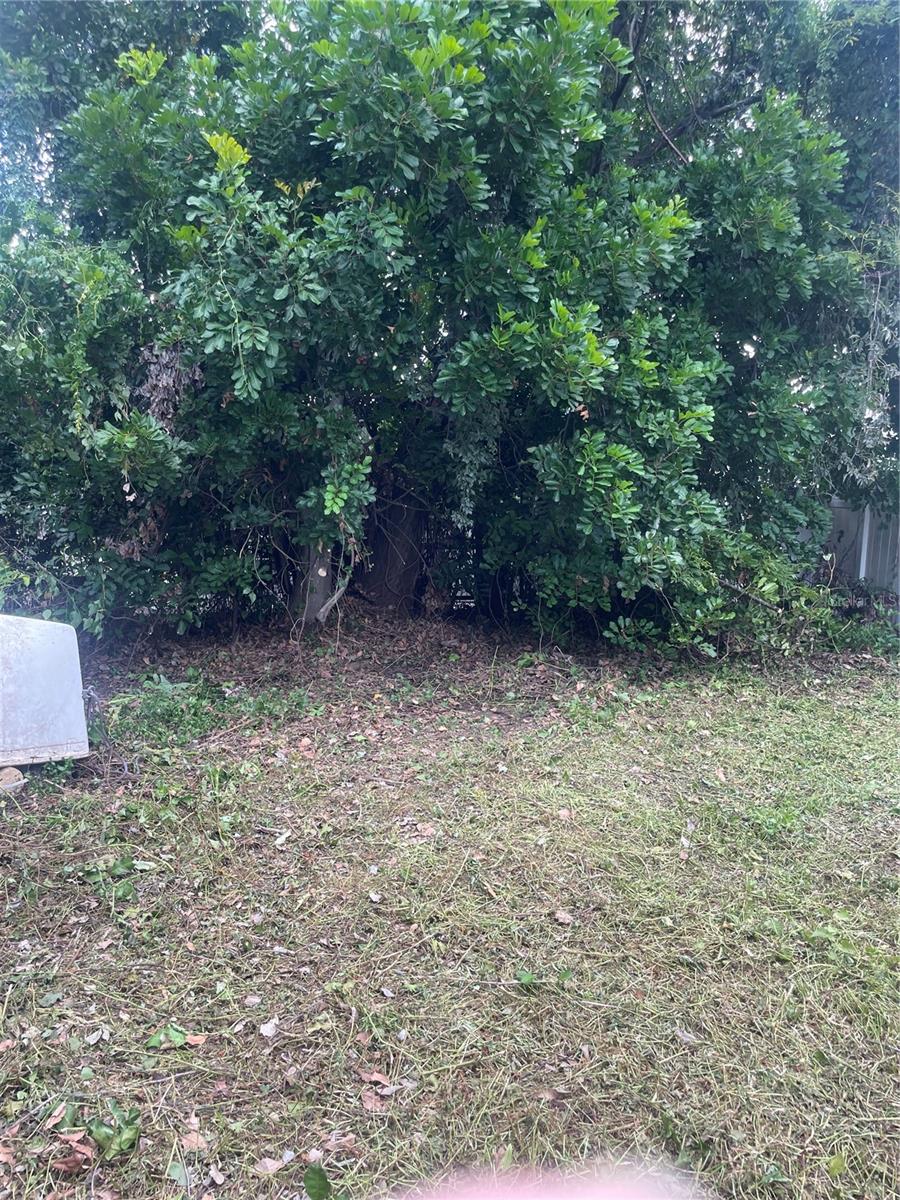 ORANGE PARK - Residential