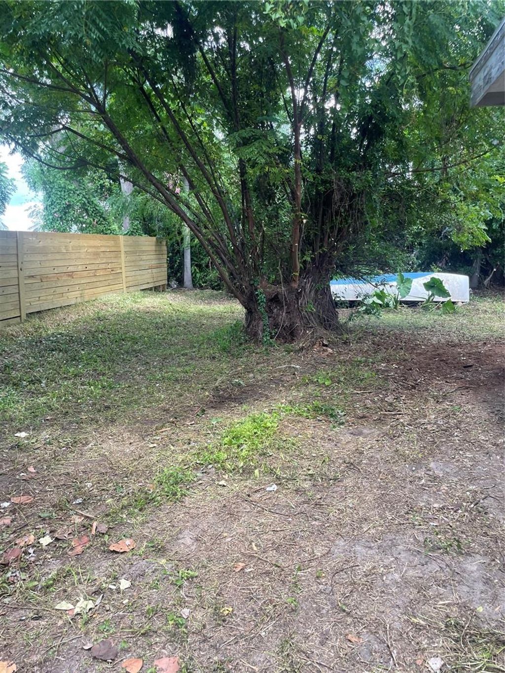 Photo of 2445 Webber Street, Sarasota, FL 34239 (MLS # A4664030)