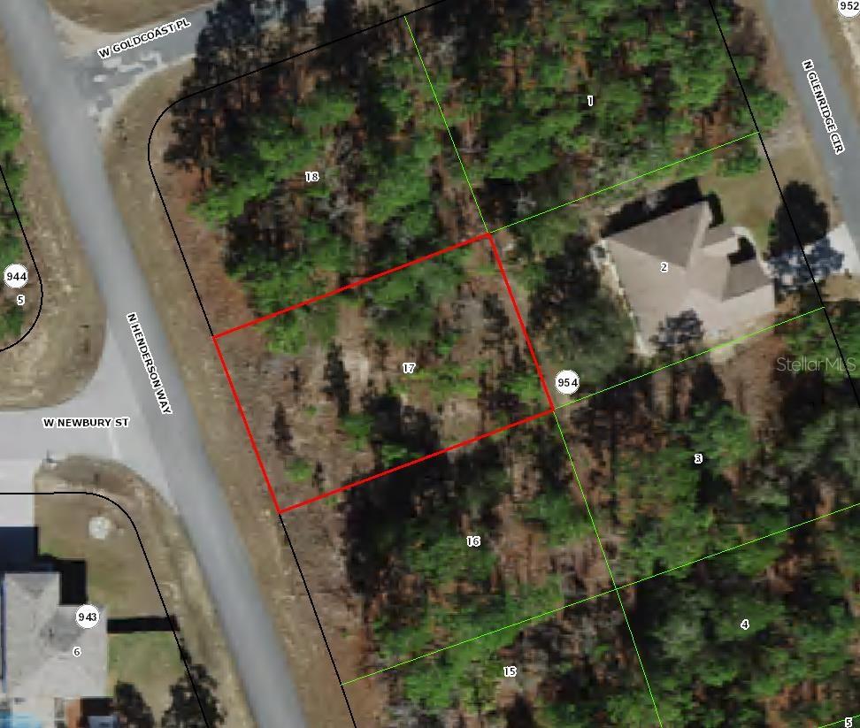 Check out and purchase this QUARTER ACRE LOT in Florida's fastest-growing city! This ELEVATED and DRY parcel offers a solid foundation; perfect for your future construction projects. Ideal for investors and buyers looking to secure an investment opportunity and capitalize on rapid SUBURBAN growth!