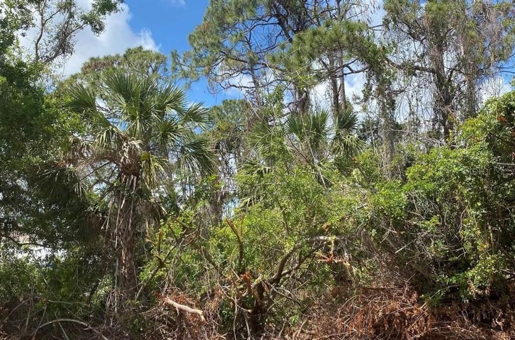 Photo of 18290 Eblis Avenue, Port Charlotte, FL 33948 (MLS # C7492140)