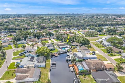 A home in TAMPA