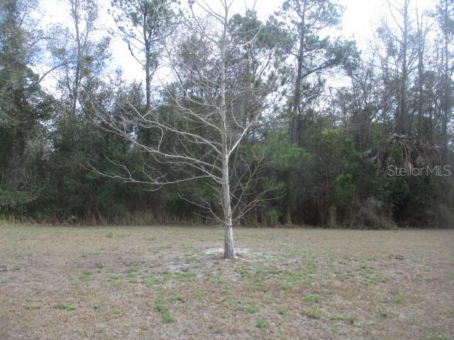 HERNANDO OAKS PH 3 - Residential