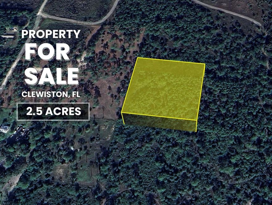 Situated in the peaceful Pioneer Plantation subdivision of Clewiston, FL, this 2.5-acre parcel, Along with the Adjacent 2.5-acre parcel, also Available for Purchase, offers abundant opportunities for residential development, agricultural use, or recreational living. Zoned RR (Rural Residential), the property allows for Single-family homes, Mobile homes, Modular homes, and Barndominiums, making it a great fit for modern homesteading or long-term investment.  There is ample room for Outbuildings, Gardens, and Livestock, such as horses, chickens, or cows, all of which are permitted under current zoning regulations. With No HOA restrictions, you have the freedom to build and live according to your vision. Ideally located just 15 minutes from Clewiston, 25 minutes from LaBelle, and about an hour from Fort Myers, the property also offers convenient access to major routes including CR 833, CR 832, US 27, SR 80, and I-75. Gulf and Atlantic beaches such as Fort Myers Beach, Naples, Delray Beach, and Pompano are just 1.5 to 2 hours away, making weekend escapes easily accessible. Whether you plan to build, invest, or simply enjoy the peace and space of rural living, this property offers privacy, flexibility, and lasting potential. A qualified buyer can own these acres with just a 25% down payment.