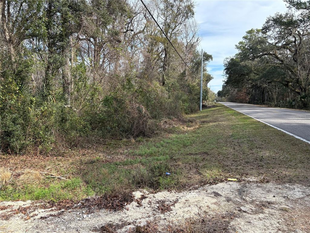 Photo of Lake Lindsey Road, Brooksville, FL 34601 (MLS # TB8351684)