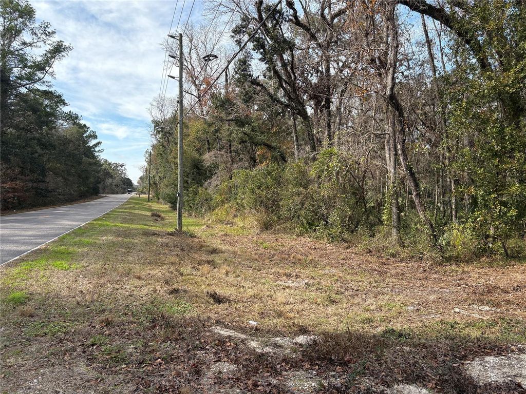Photo of Lake Lindsey Road, Brooksville, FL 34601 (MLS # TB8351684)